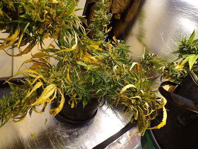 Growreport Bild 14