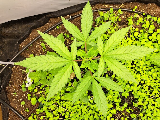 Growreport Bild 17