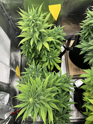 Growreport Bild 11