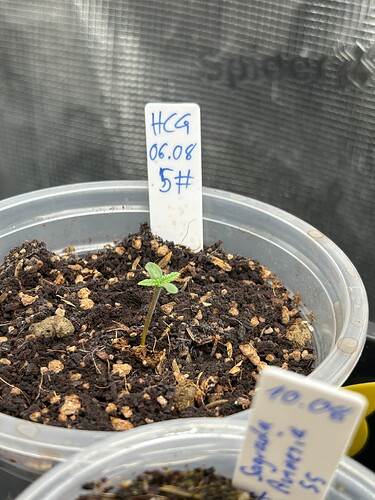 Growreport Bild 27