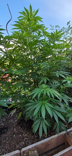 Growreport Bild 4