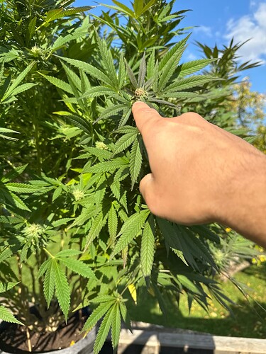 Growreport Bild 24