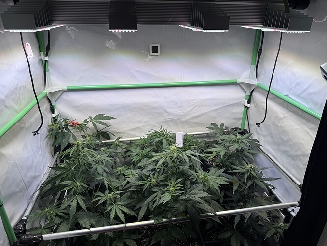 Growreport Bild 36