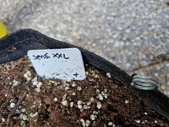 Growreport Bild 26