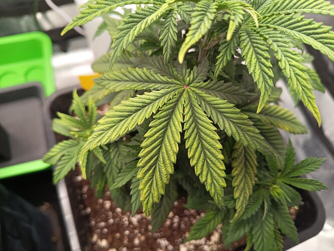 IMG_20240429_100604_473