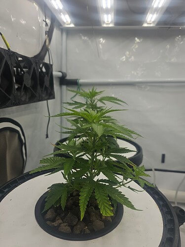 Growreport Bild 15