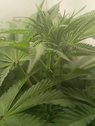 Growreport Bild 14