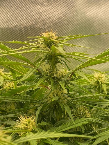 WhatsApp Bild 2024-05-07 um 19.11.37_70a8dc8b