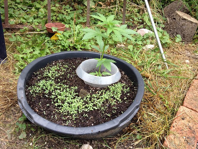 Growreport Bild 12