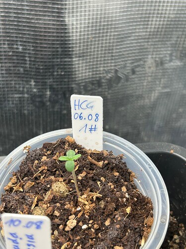 Growreport Bild 25