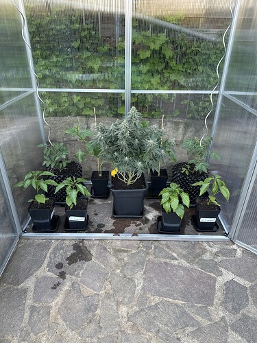 Growreport Bild 26