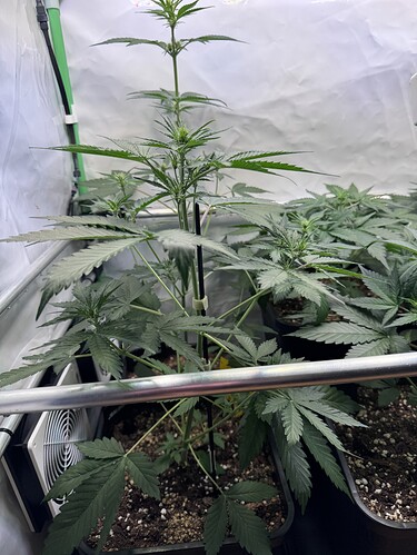 Growreport Bild 8