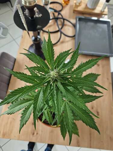 WhatsApp Image 2024-05-27 at 12.39.43