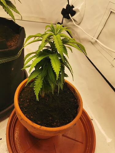 Growreport Bild 14