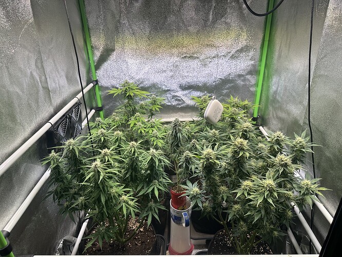 Growreport Bild 3