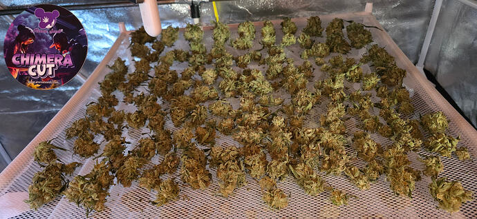 Growreport Bild 84