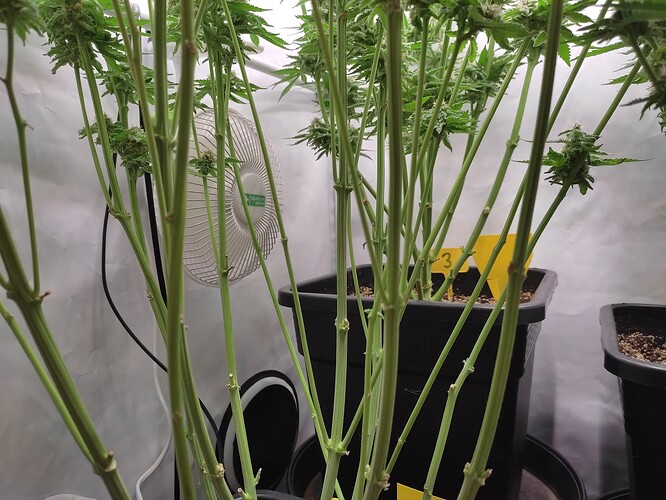 Growreport Bild 26