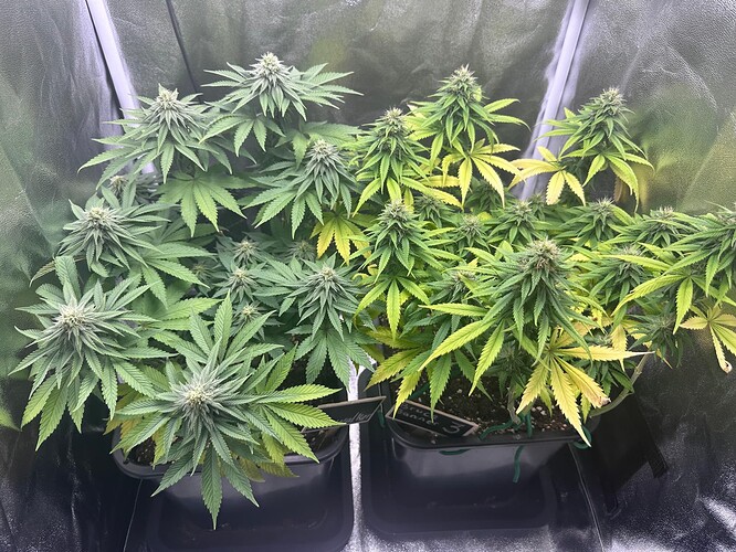 Growreport Bild 21