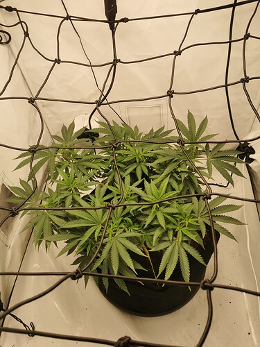 Growreport Bild 12