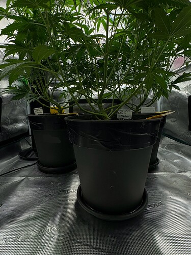 Growreport Bild 8