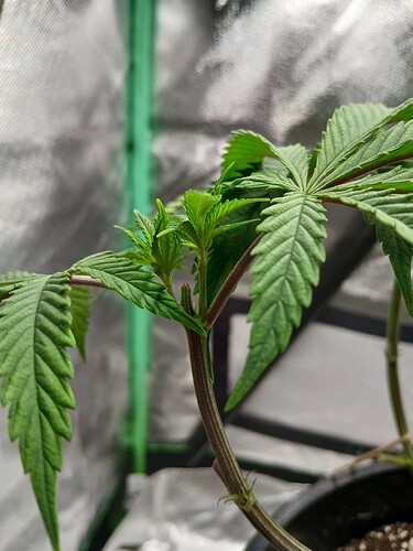 Growreport Bild 11