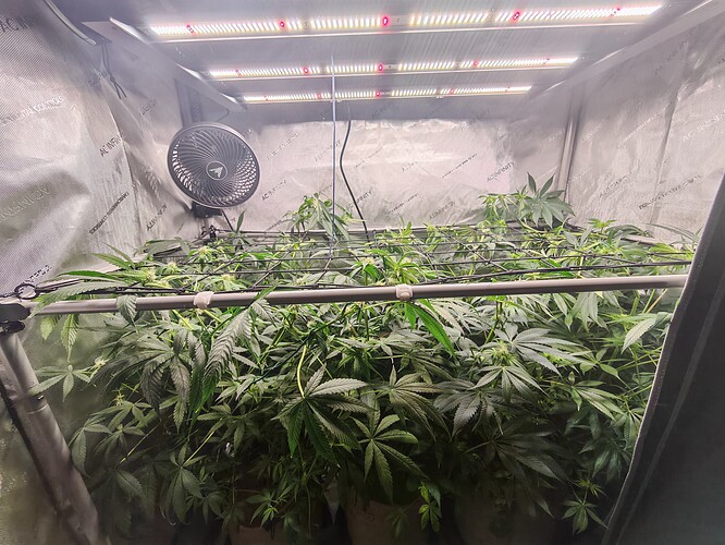 Growreport Bild 11