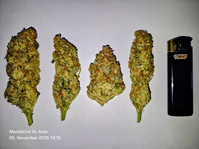 Growreport Bild 8
