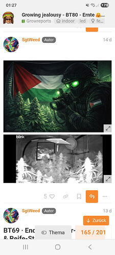 Ein Soldat mit grünen leuchtenden Augen und einer Kamera in der Hand steht vor einer Reihe von Cannabis-Pflanzen, im Hintergrund die palästinensische Flagge. Darunter eine Schwarz-Weiß-Aufnahme eines Grow-Zeltes mit mehreren blühenden Cannabis-Pflanzen.