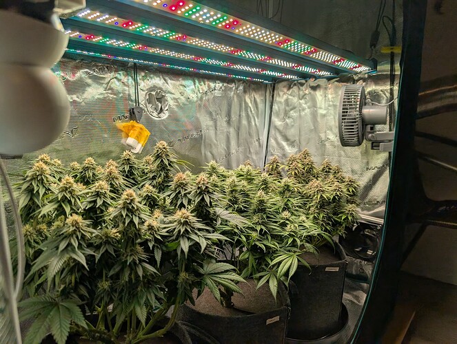 Growreport Bild 1