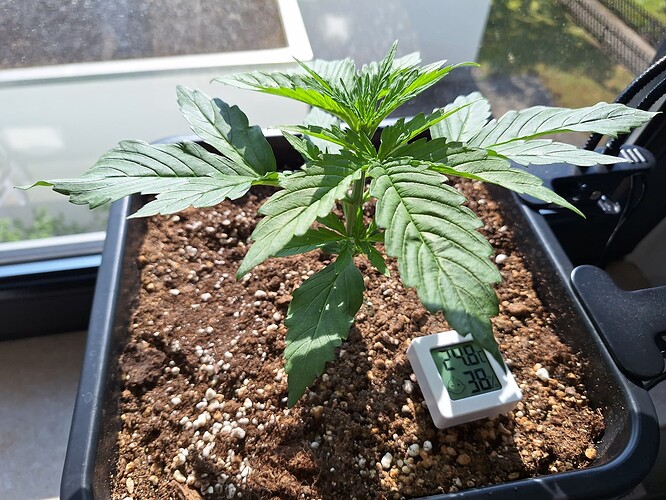 Growreport Bild 12