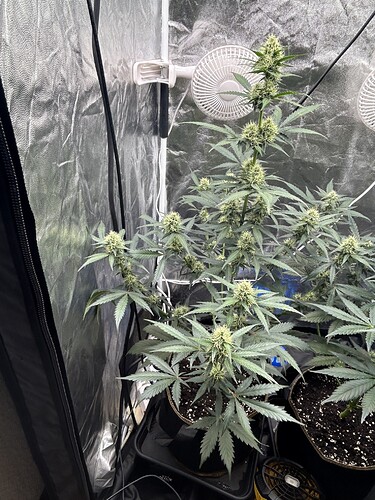 Growreport Bild 6