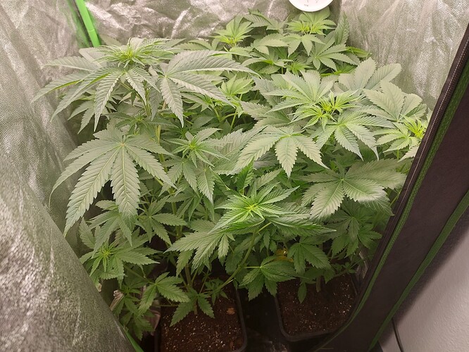 Growreport Bild 13