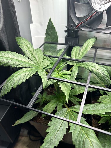 Growreport Bild 5
