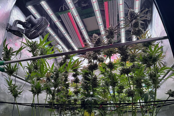 Growreport Bild 15
