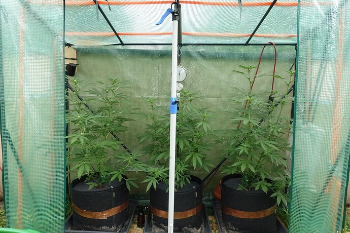 Growreport Bild 10