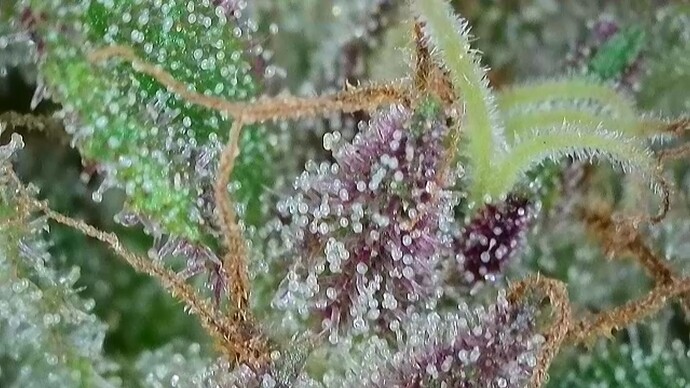 2025-10-06-102051085