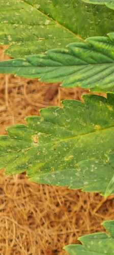 Growreport Bild 22