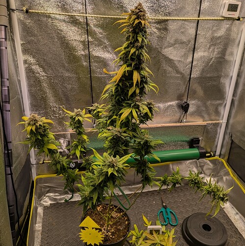 Growreport Bild 14