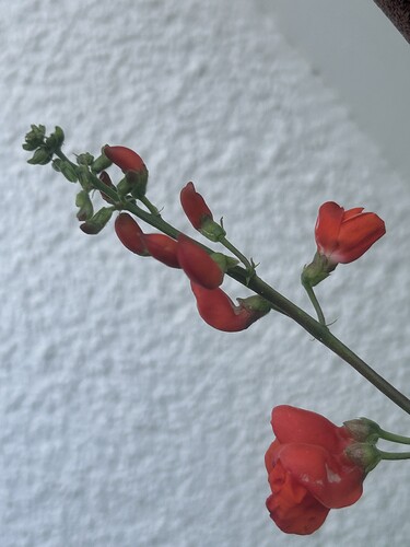 Growreport Bild 50