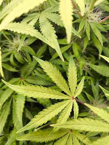 Growreport Bild 8