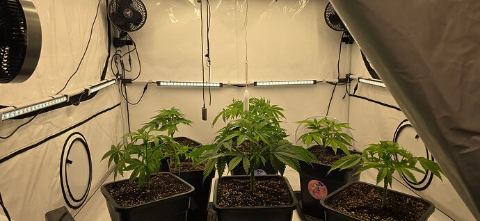 Growreport Bild 25