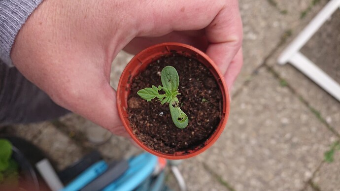 Growreport Bild 14