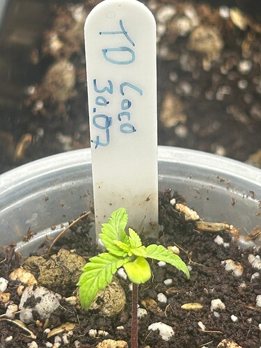 Growreport Bild 40