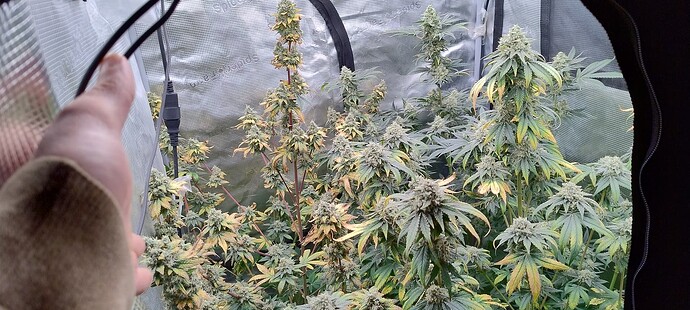 Growreport Bild 3