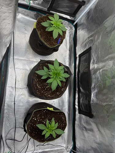 Growreport Bild 5