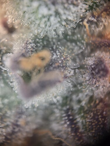 Growreport Bild 8