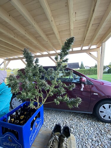 Growreport Bild 3