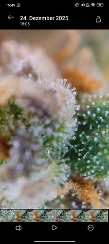Growreport Bild 7