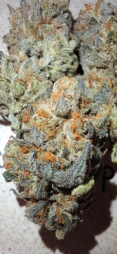 Growreport Bild 34