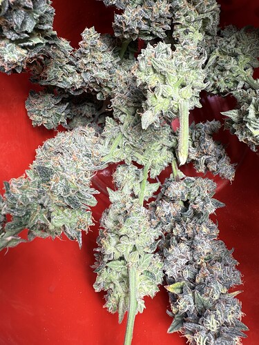 Growreport Bild 1